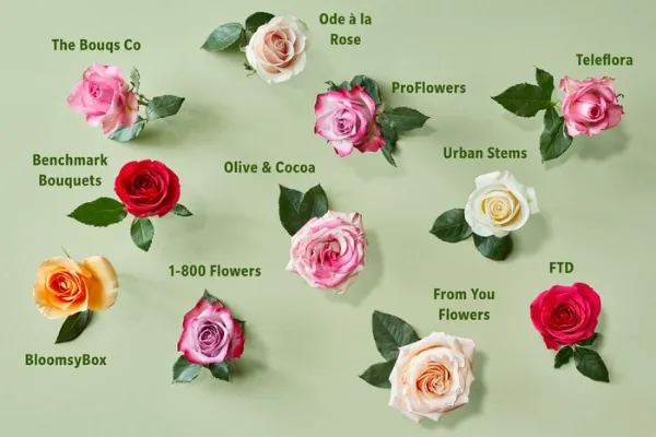 List of Flowers Best Suited for Next-Day Deliveries