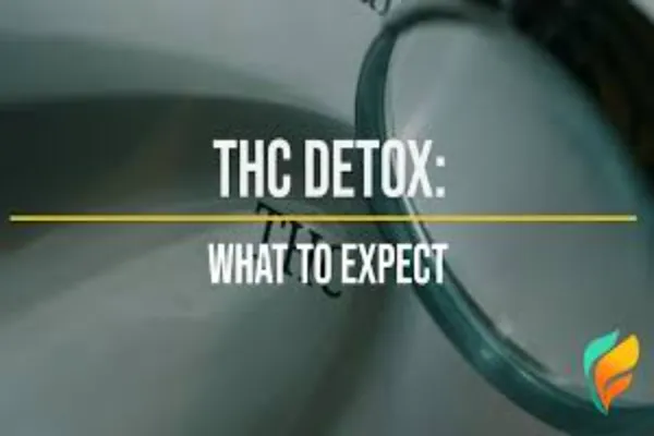 Detoxing From THC? Here’s What to Expect and What to Avoid