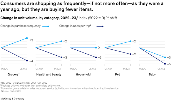 Why Some Consumers Are Buying Less and Looking After What They Own